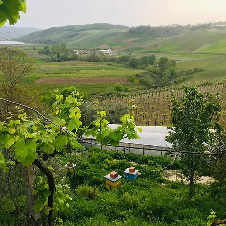 Villa Guest-house Grandfatherfarm1 *