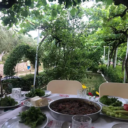 Villa Guest-house Grandfatherfarm1 *